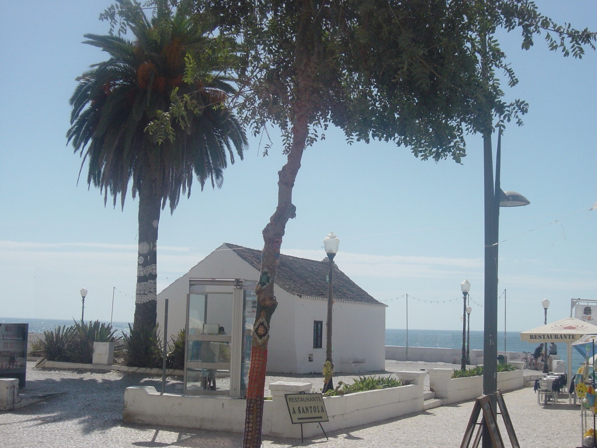 Un petit bâtiment blanc avec une porte en verre, entouré de palmiers et offrant une vue dégagée sur la mer.