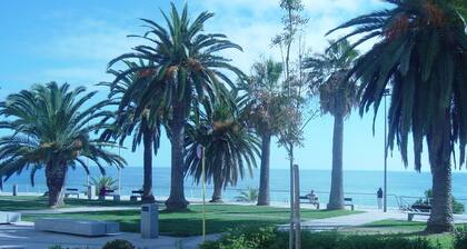 Confortable T1 in promenade of the sea and beach, sea view, Armação PĂȘra Algarve