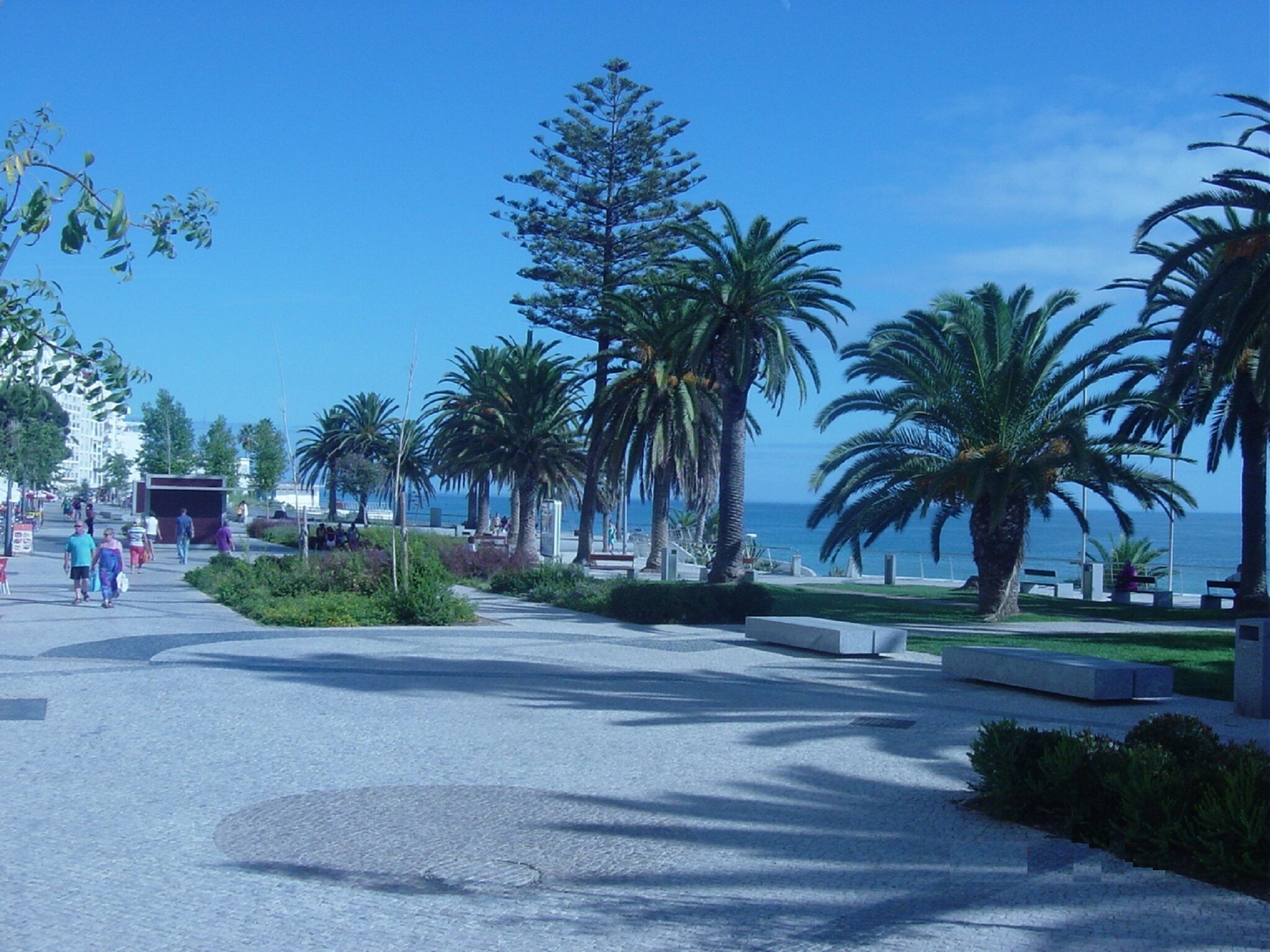 A coastal promenade with palm trees, benches, and a clear view of the sea.