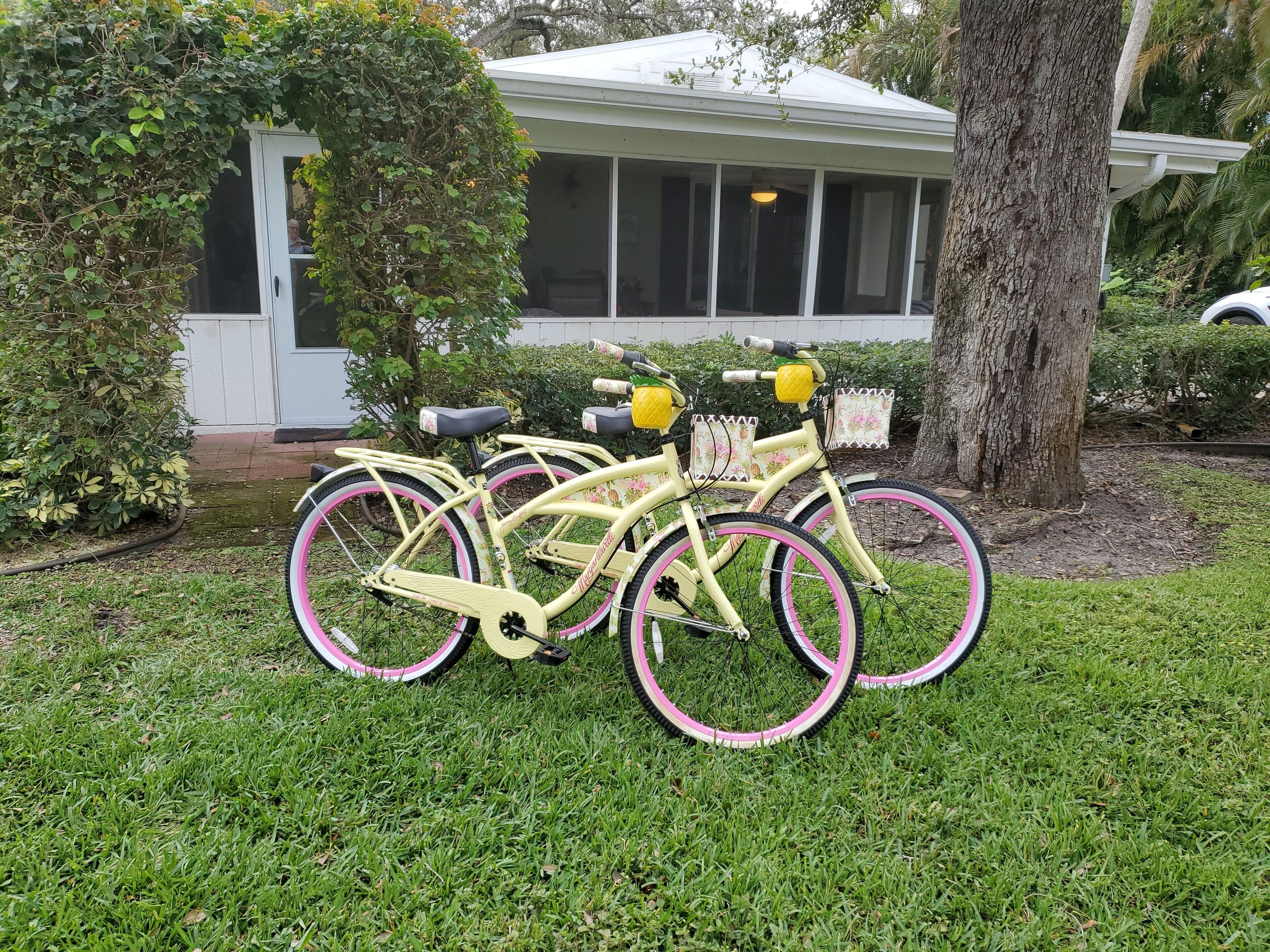 "Margarita" Cruiser Bikes - enjoy riding