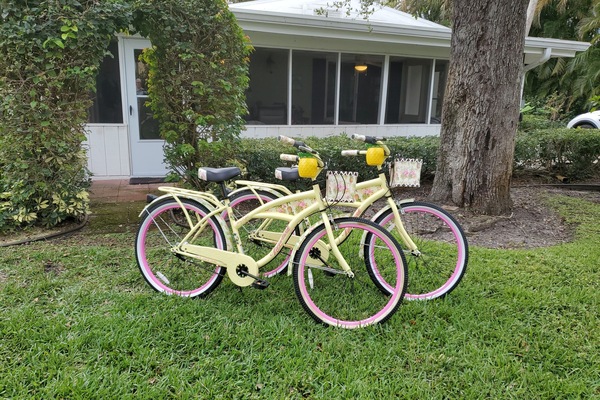 "Margarita" Cruiser Bikes - enjoy riding