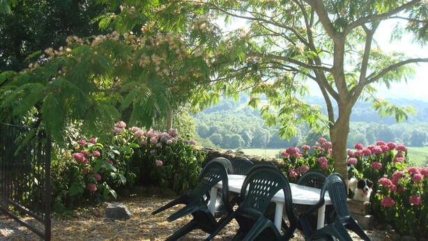 Ein Garten mit Tisch und Stühlen, umgeben von Bäumen und blühenden Pflanzen.