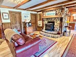 Smart TV, fireplace, books