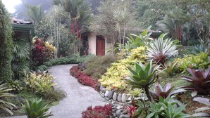 Ein Gartenweg mit verschiedenen Pflanzen und einem Gebäude mit roter Tür.