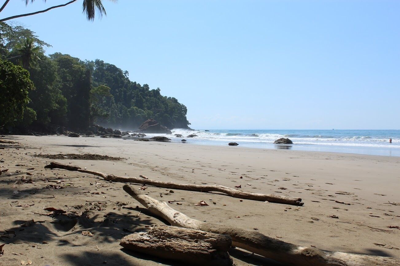 Chaises longues, serviettes de plage