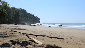 Ein Strand mit sandigem Ufer, vereinzelten Treibholzstücken und einer bewaldeten Klippe im Hintergrund.