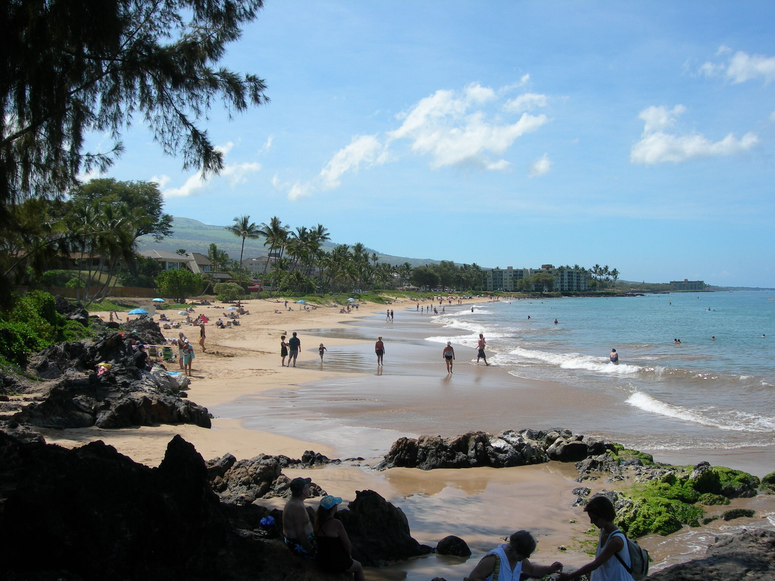 A beach with people walking and swimming, surrounded by rocks and palm trees.