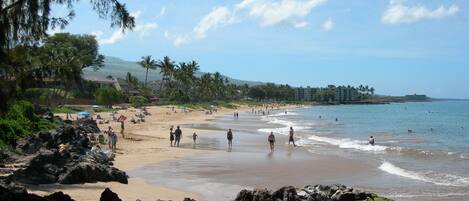 A beach with people walking and swimming, surrounded by rocks and palm trees.