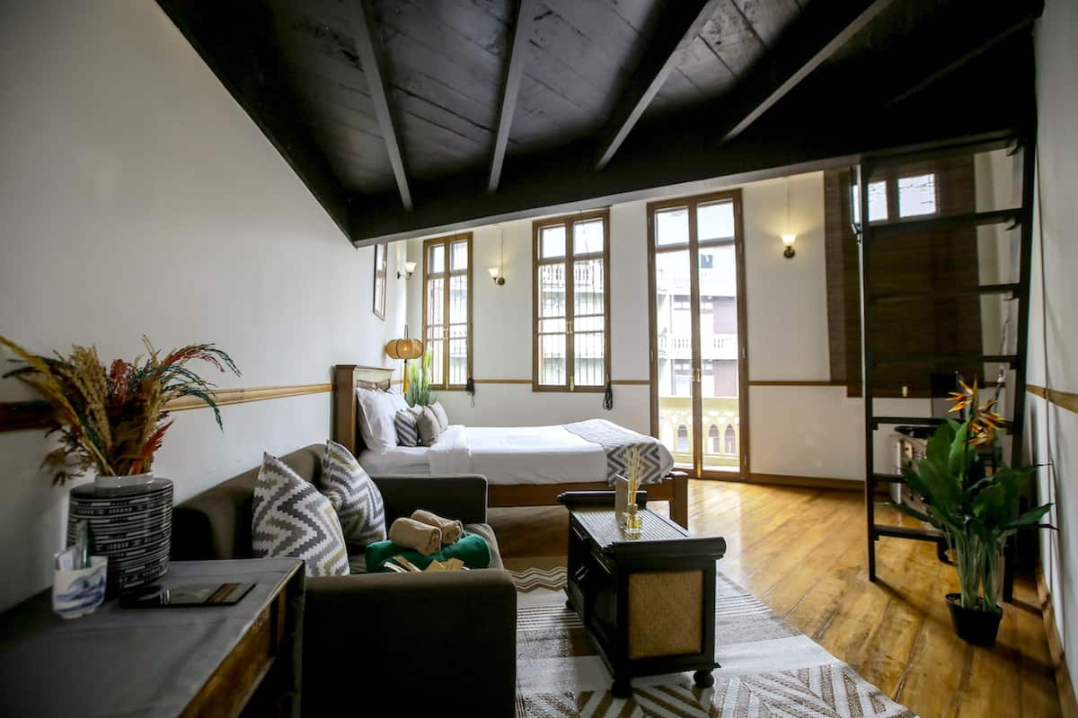 A room with a bed, a sofa, a small table, and a potted plant.