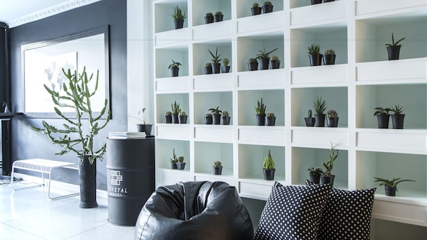 Un espacio moderno para relajarse con un estante blanco que exhibe varias plantas en macetas, un sillón orejero de cuero negro y un cubo de basura con la etiqueta 'CRYSTAL HOTEL'.