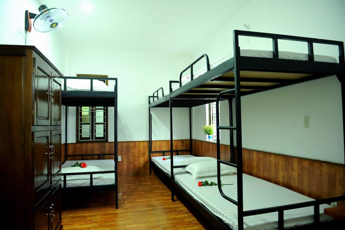 A room with bunk beds, wooden cabinets, and a window with a plant.