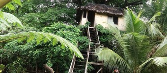 Tanna Eco Venture Bungalow