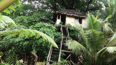 Tanna Eco Venture Bungalow