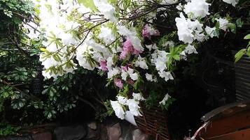 ヘアドライヤー、タオル