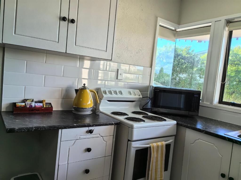 Cozinha com armários brancos, fogão, micro-ondas e janela com vista para o verde.