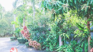A pathway flanked by lush greenery and a variety of plants.