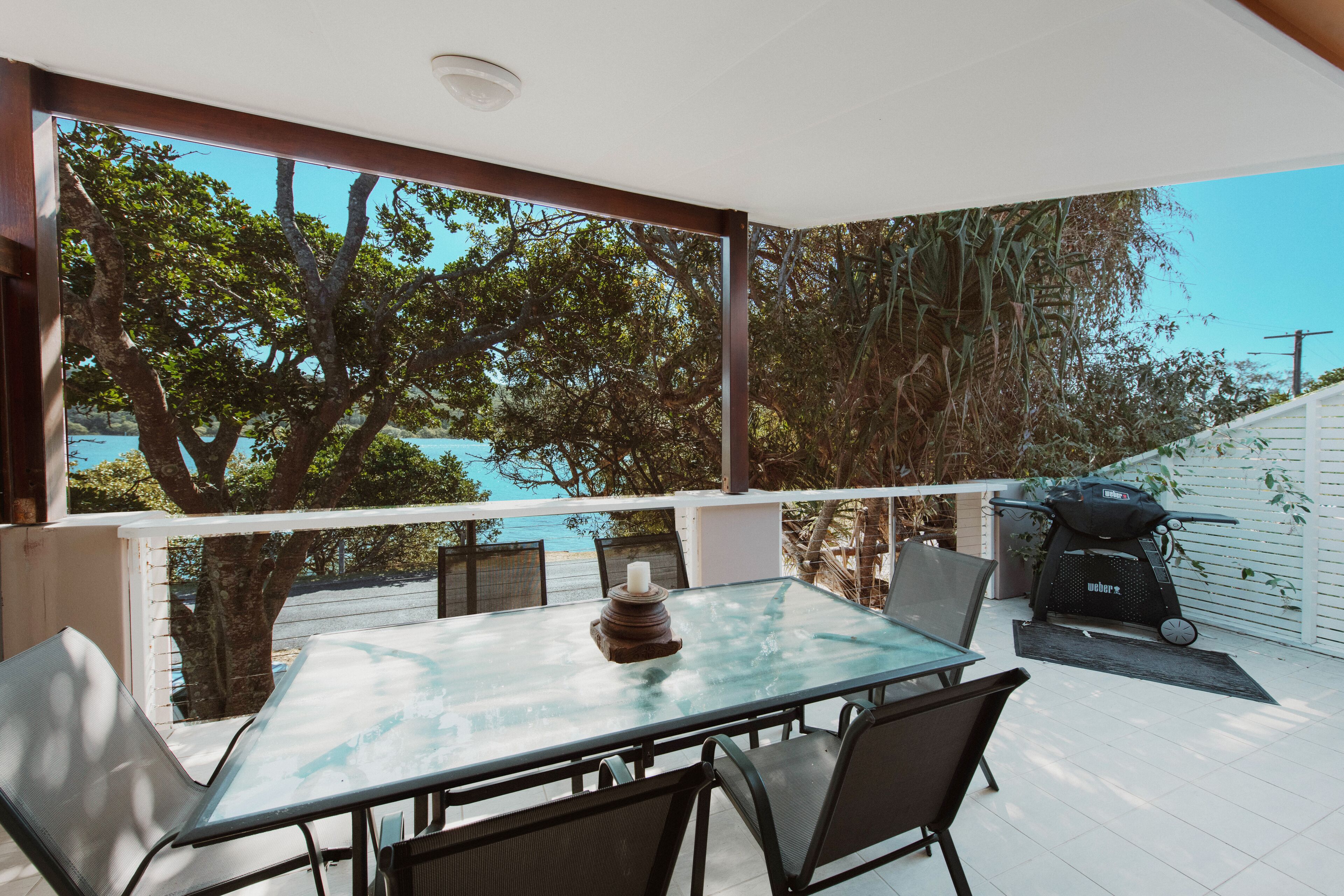 Pandanus | Front of property