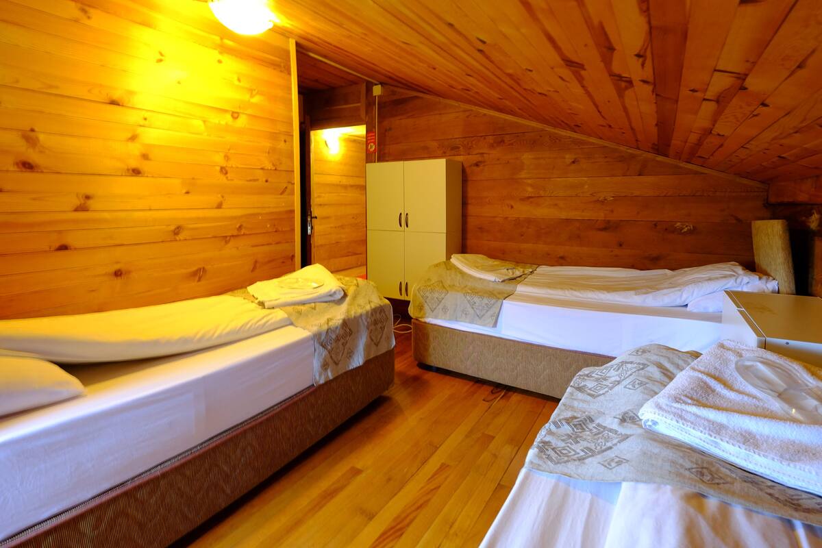 Standard Triple Room | Desk, free WiFi