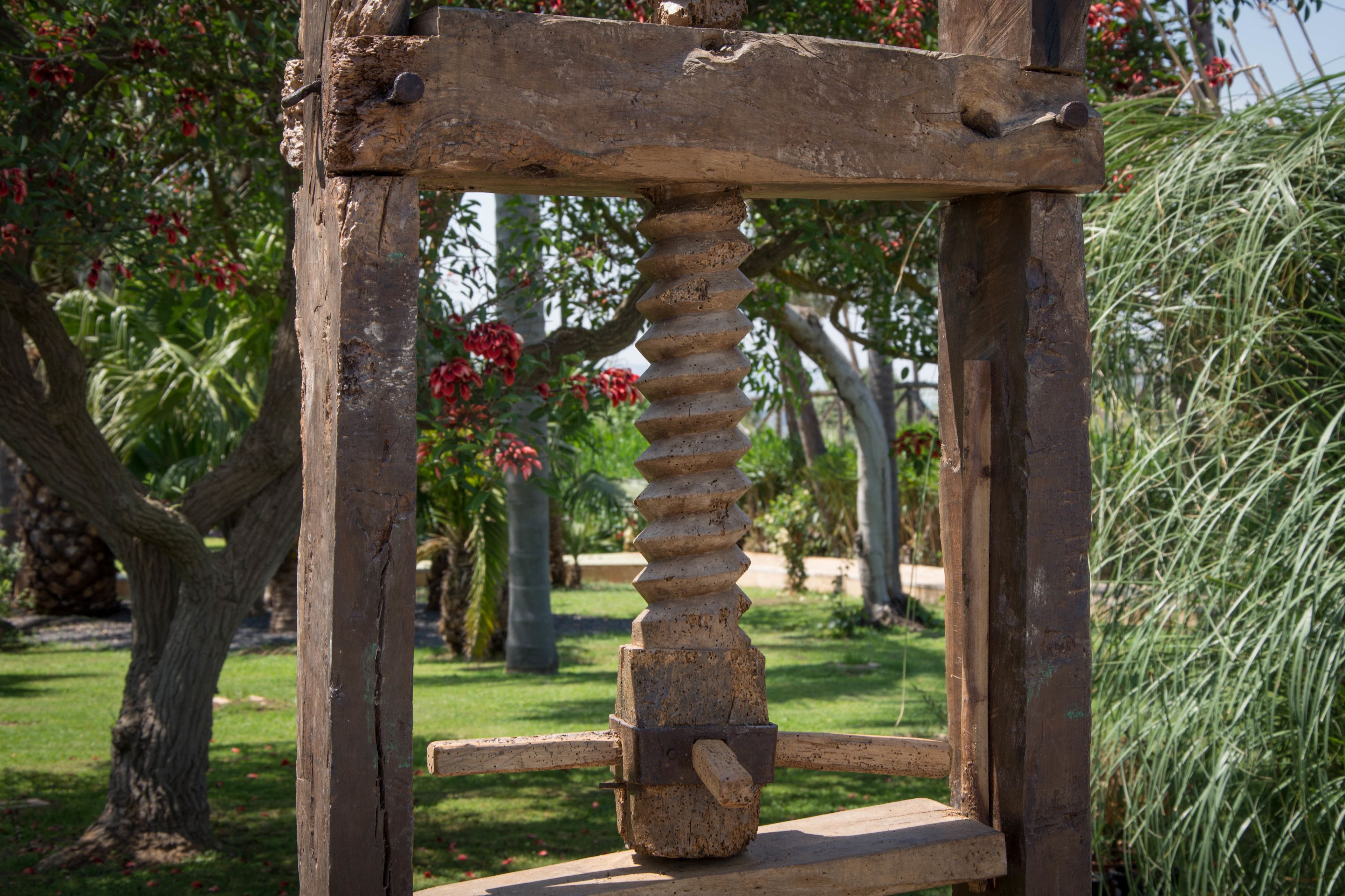 Photo - Agriturismo Papyrus