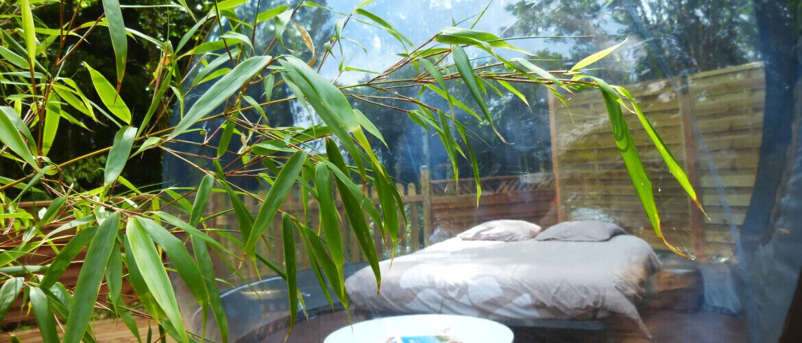 Vue depuis l’hébergement