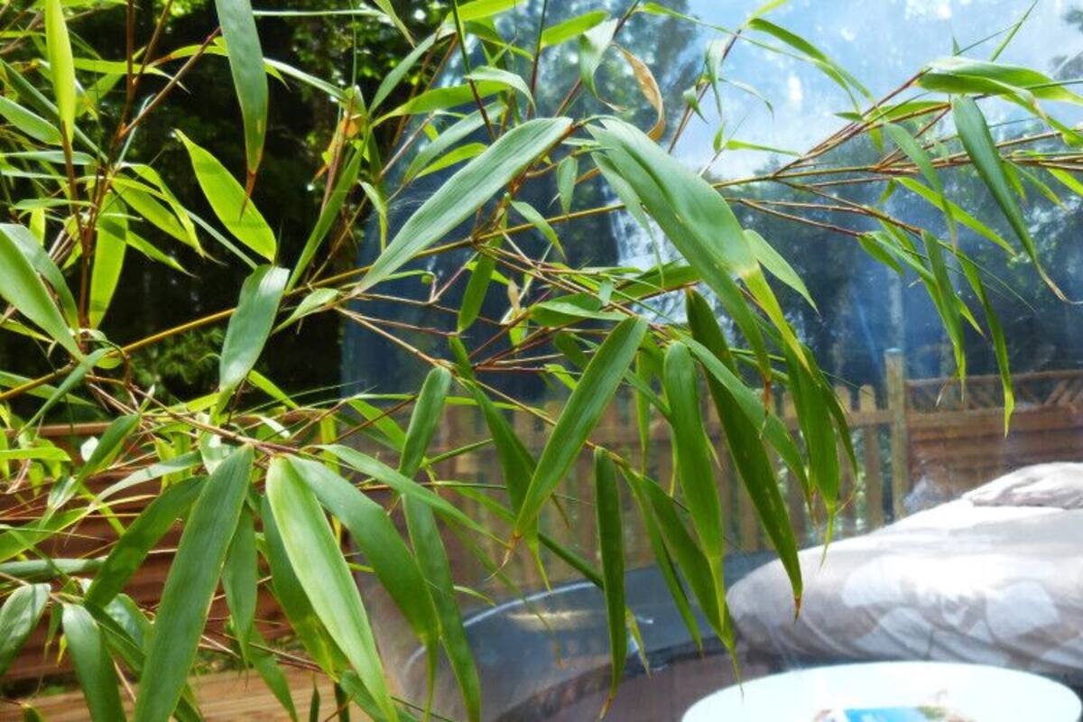 Vue depuis l’hébergement