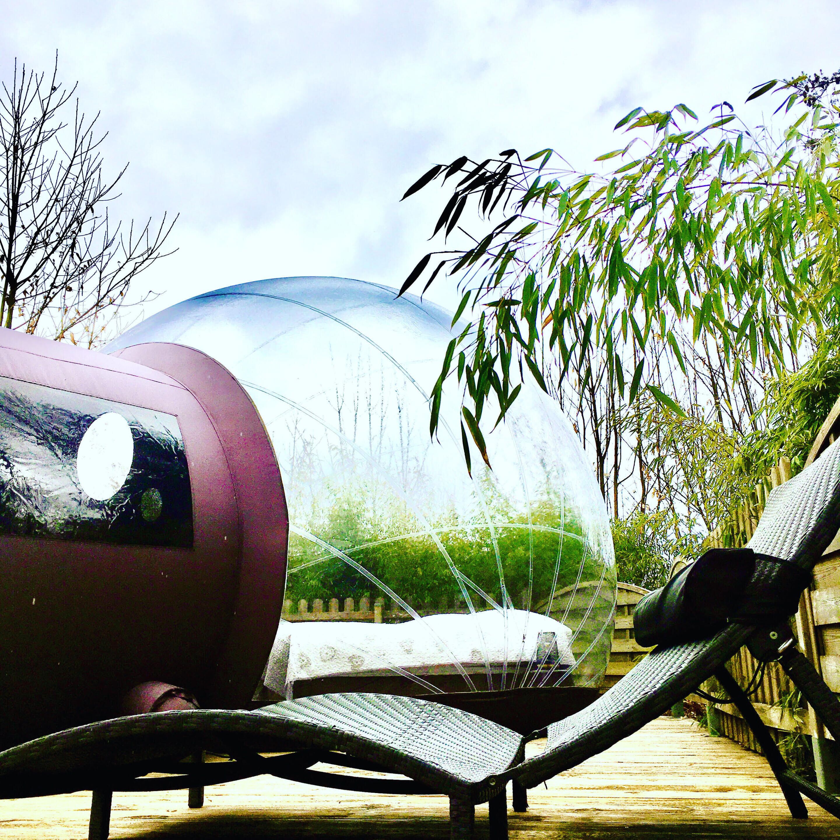 A transparent dome structure, a lounge chair, and bamboo plants.