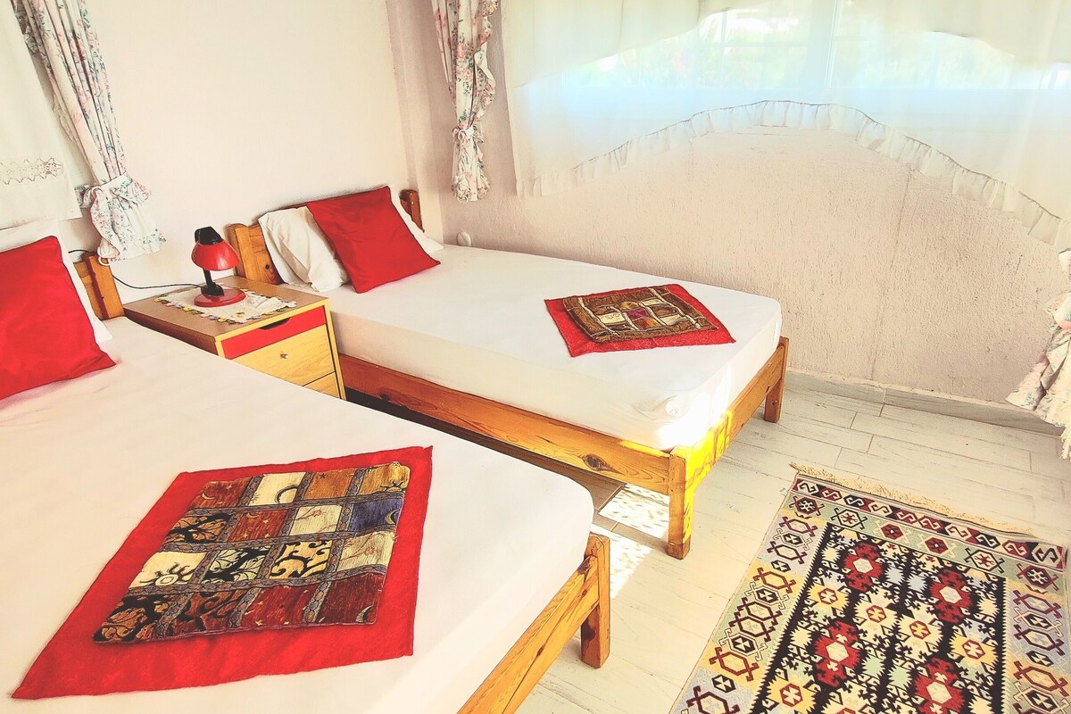 A room with two beds, each with a red pillow and a patterned throw. There is a wooden nightstand with a lamp and a small table with a book. A patterned rug is on the floor.