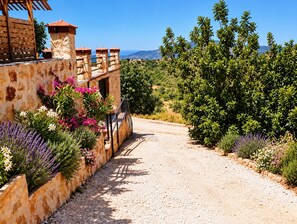 A gravel path leading to a stone building with a wooden pergola and a view of a hilly landscape.
