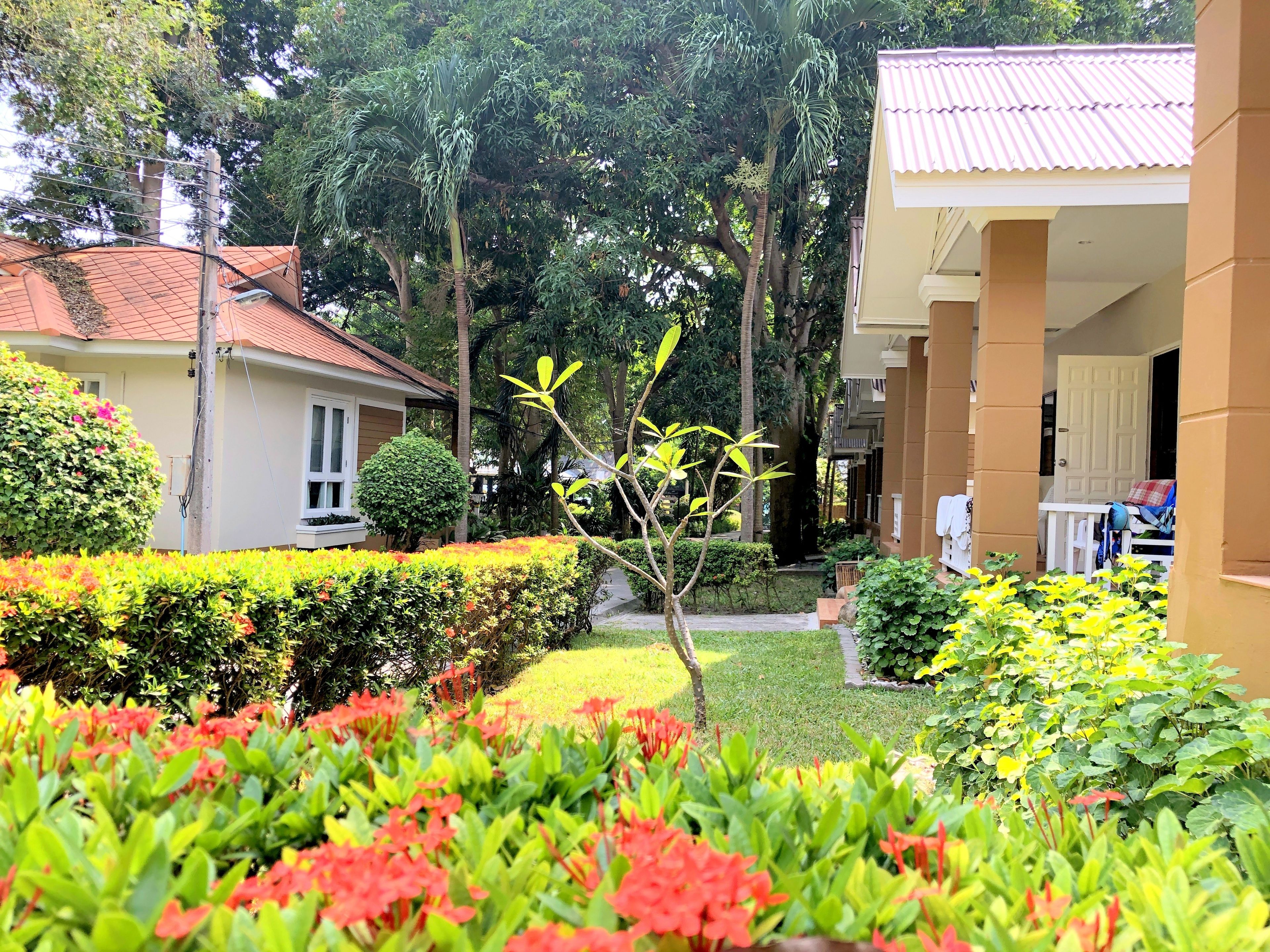Un jardín con diversas plantas y un edificio con tejado de baldosas.