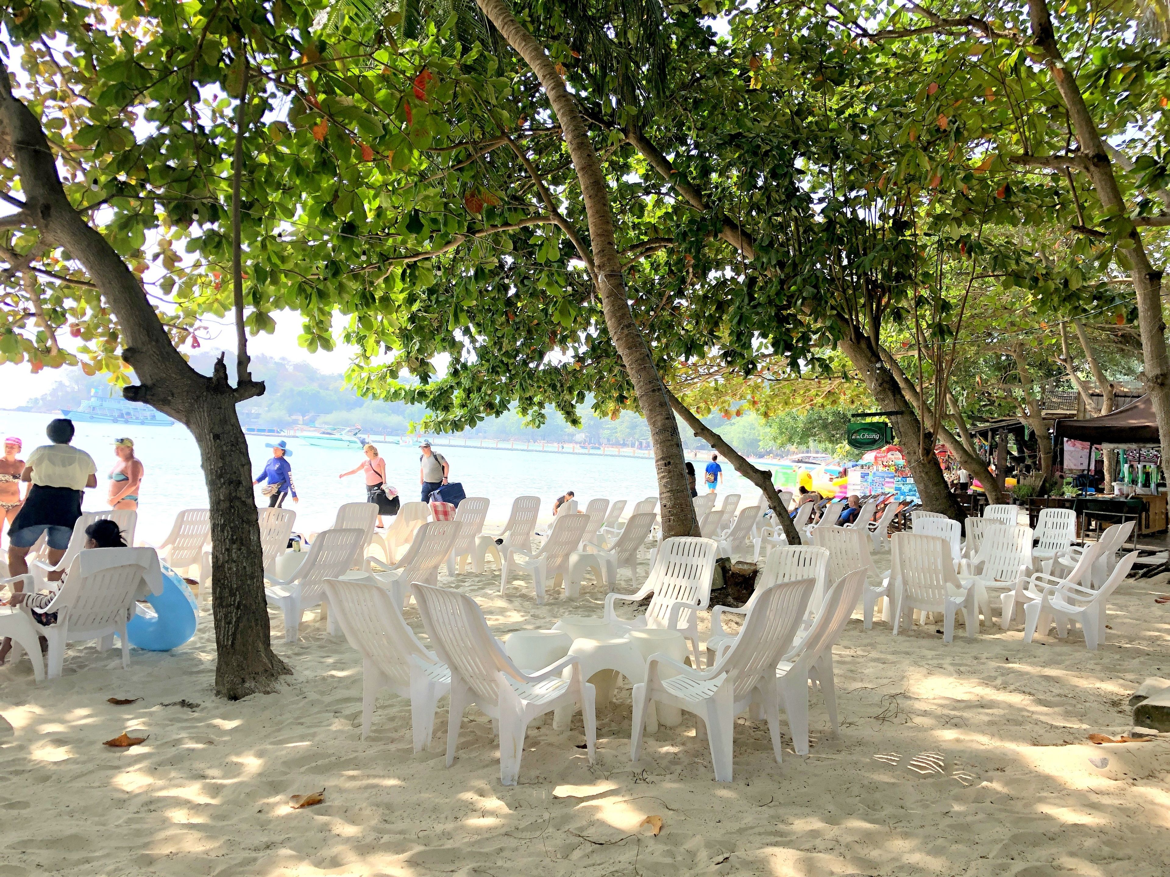 A beachside area with white plastic chairs arranged under trees, a sandy beach, and a view of the sea with boats.