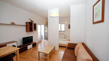 Flachbildfernseher, Pay-TV