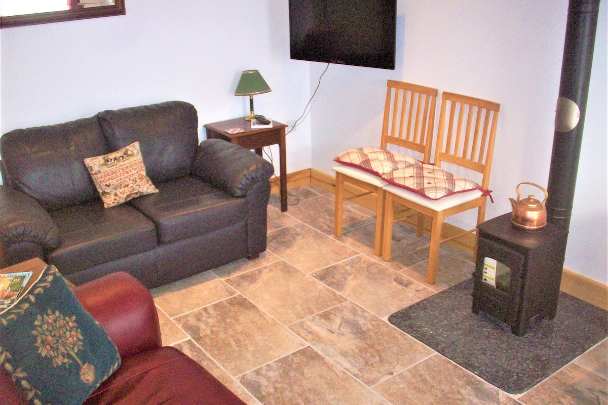 A living room with a sofa, a chair, a small table with a lamp, a television on the wall, and a wood-burning stove.