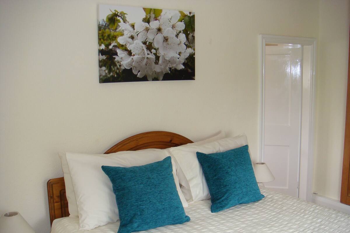 A bedroom with a bed, two pillows, a nightstand, a lamp, and a door.