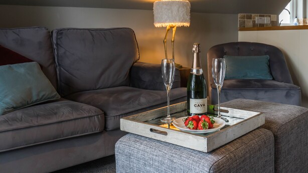 A modern living room with a grey sofa, a wooden coffee table with a tray of strawberries and a bottle of Cava wine, and a tall floor lamp. - Dunroamin Apartment (Glasgow)