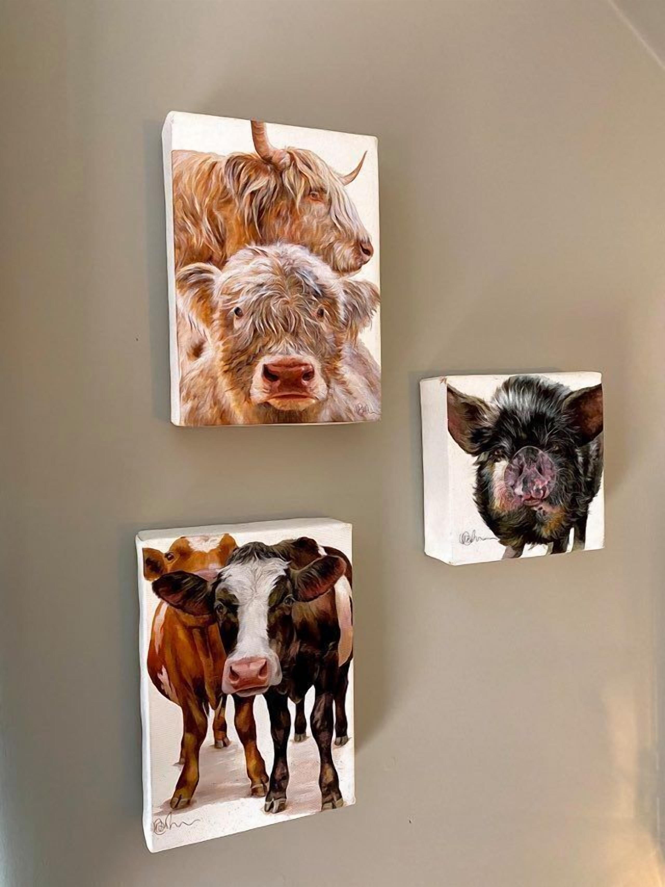 Três quadros de animais emoldurados na parede.