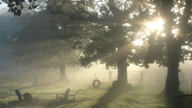 A foggy park with trees, a swing, and a bench. - Dunroamin (Glasgow)