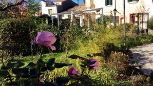 A garden with blooming flowers and a white building with green shutters. - Art & Breakfast (Ripabottoni)