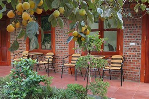 Terrace/patio - Thanh Dat Homestay (Hoa Lu)