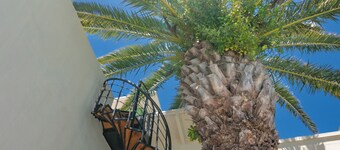 Cape Town 4U Guesthouse