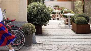 Un patio con un sendero de ladrillo, una bicicleta y plantas en macetas.