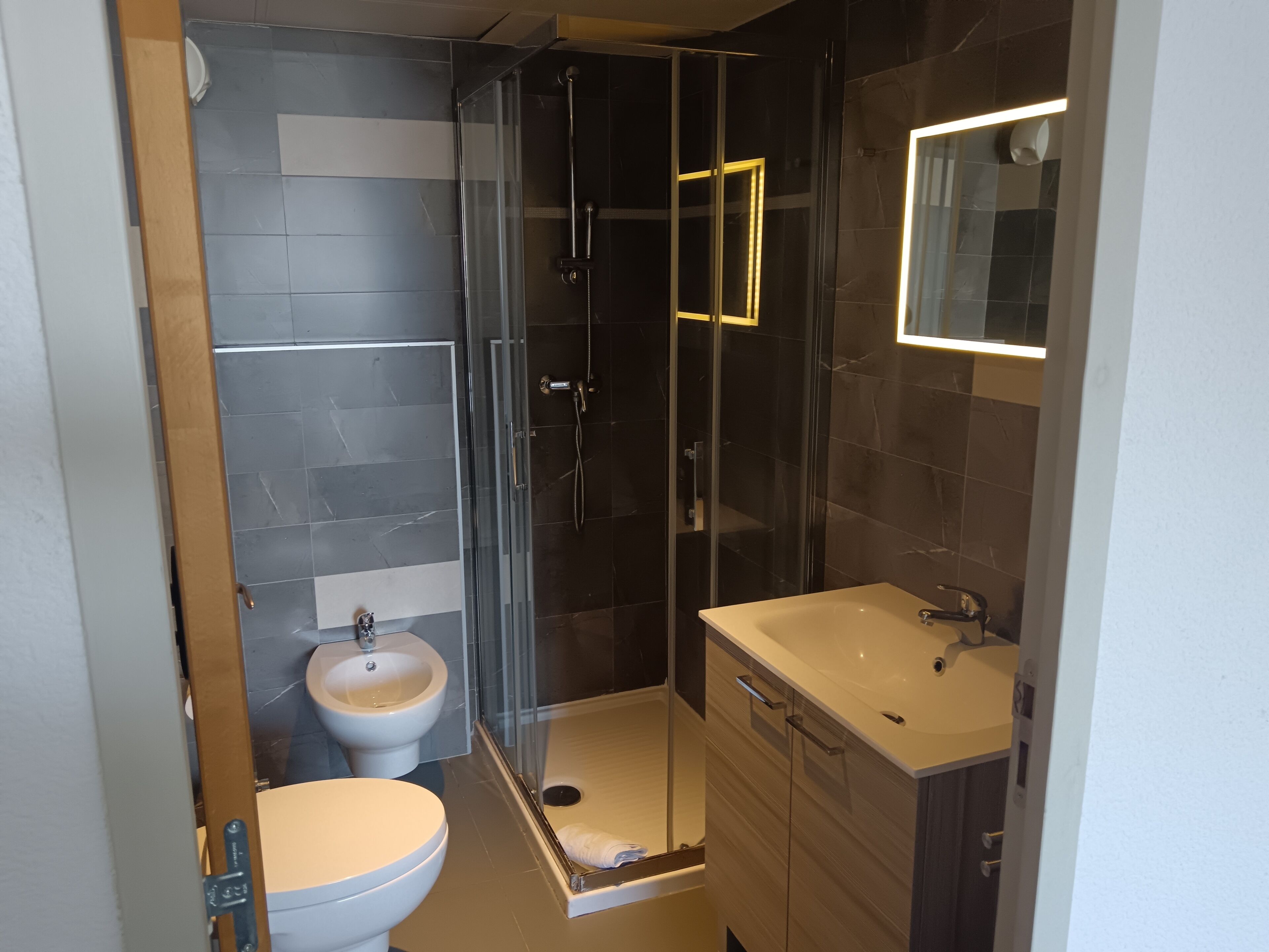 A modern bathroom with a glass-enclosed shower, a toilet, a bidet, and a vanity with a mirror.
