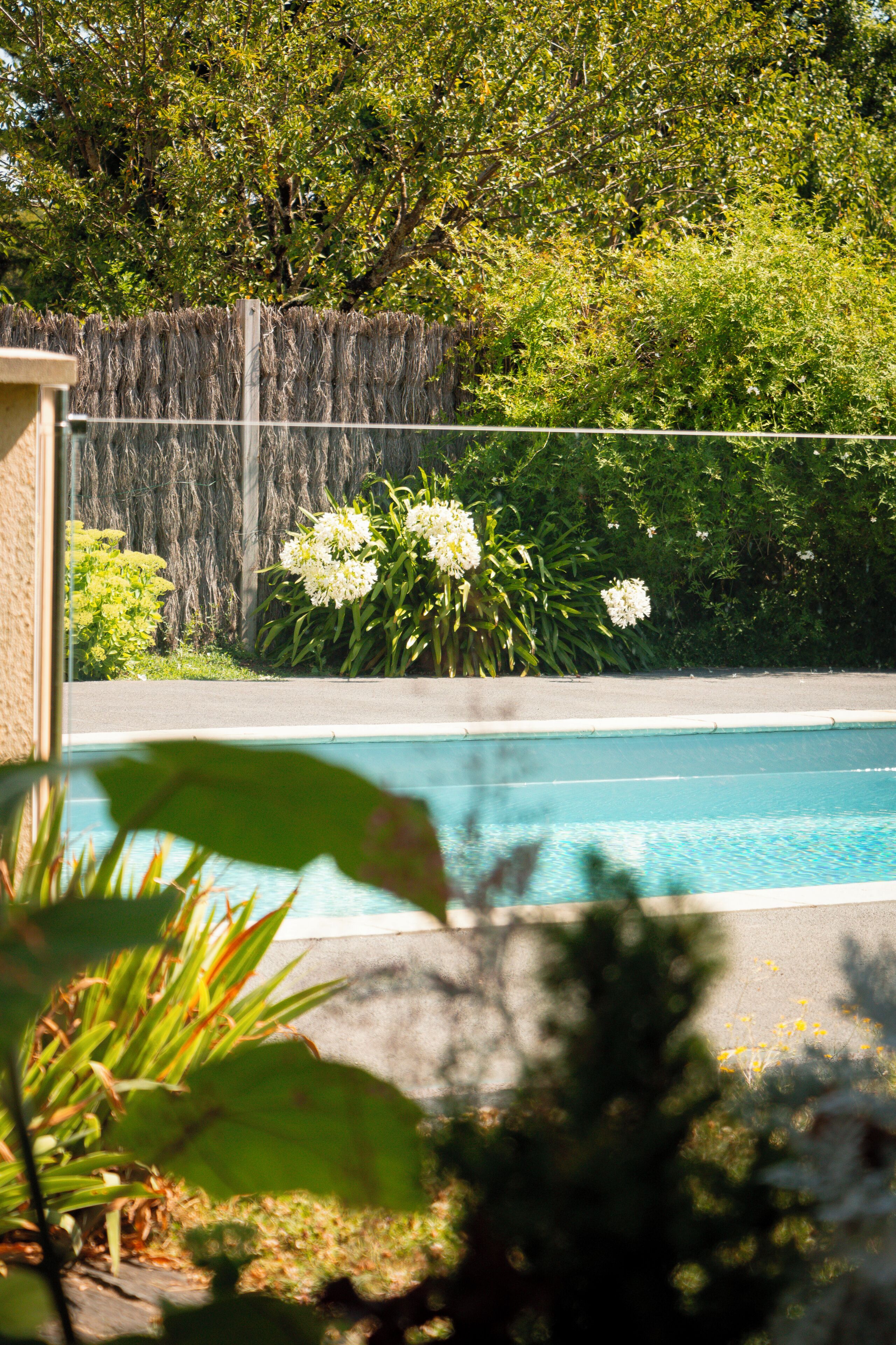 A swimming pool with a view of a garden and a wooden fence.