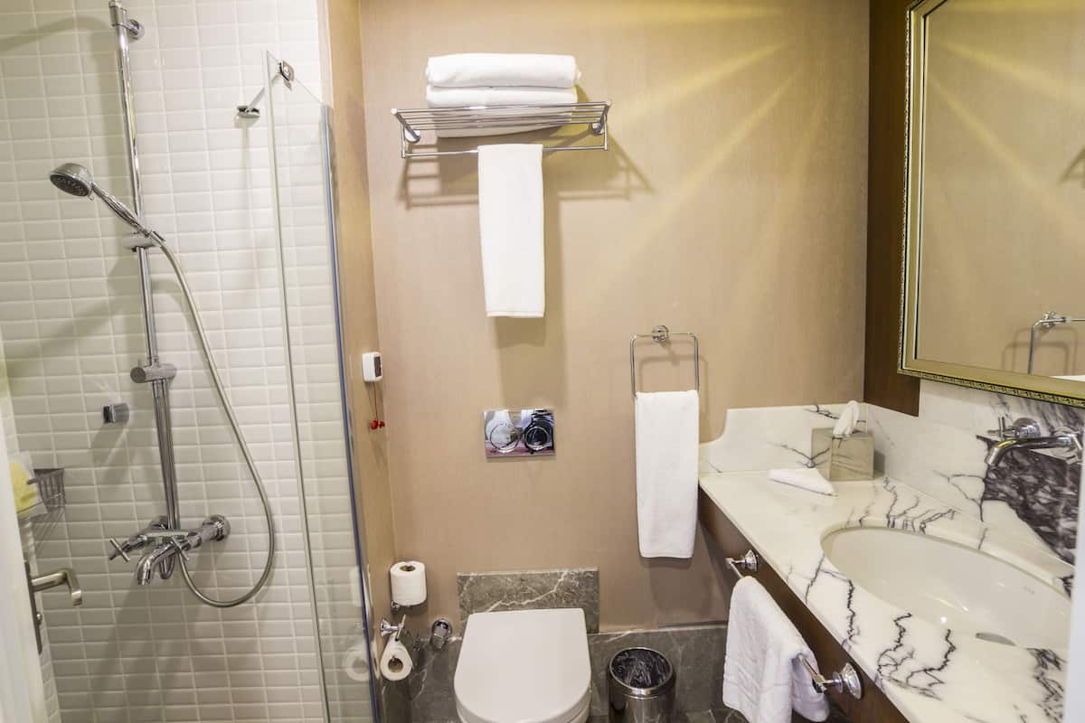 shower, free toiletries, hair dryer, slippers