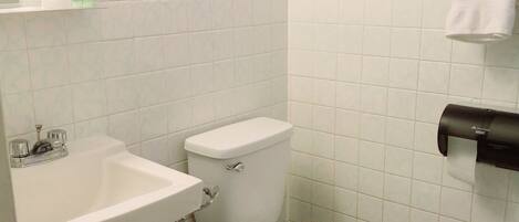 A bathroom with a sink, toilet, and a trash bin.
