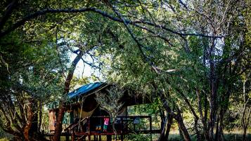 Tente Standard, 1 chambre