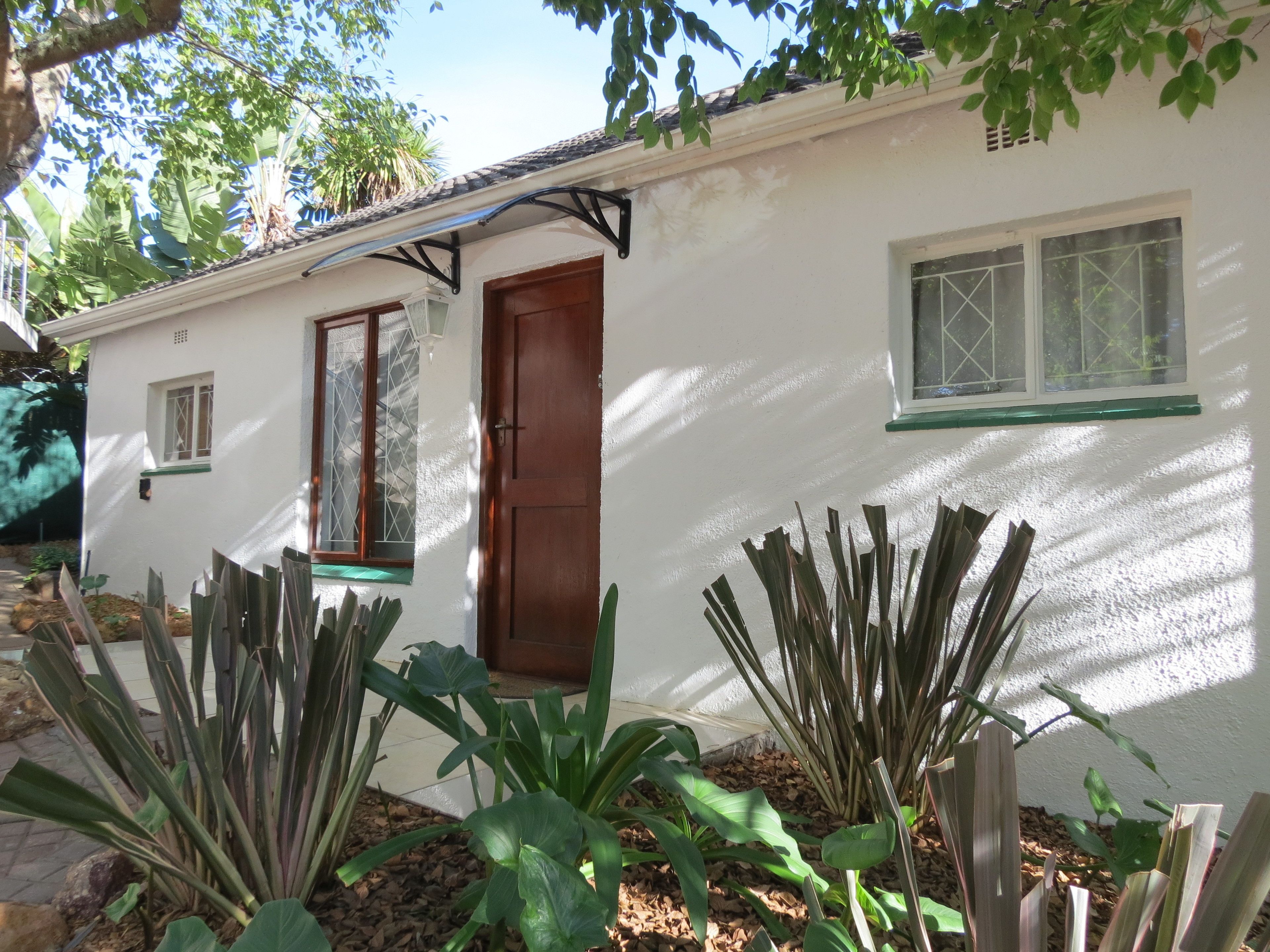 Un edificio blanco con una puerta marrón, una ventana de diseño calado y grandes plantas verdes al frente.