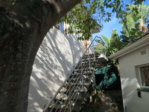 A staircase leading up to a building with a white exterior, surrounded by trees and plants.