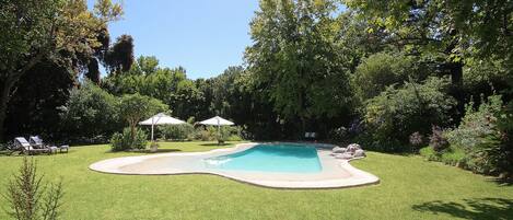 Outdoor pool, pool umbrellas, sun loungers
