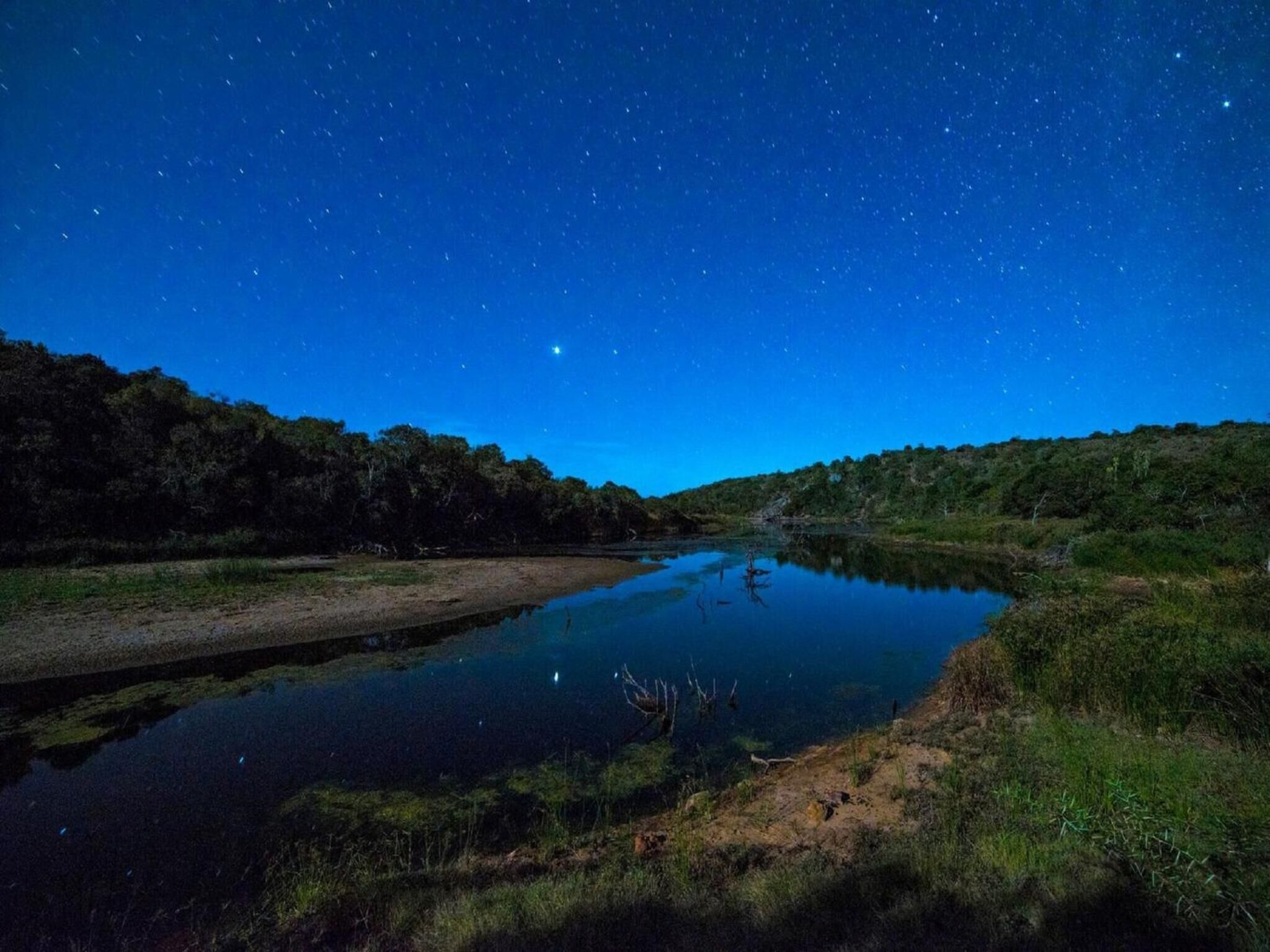 A nighttime landscape with a calm river reflecting the stars, surrounded by dense greenery.