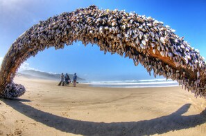 Guarda-sóis, toalhas de praia 